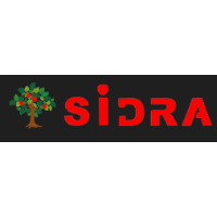 Kindergartenpädagogin logo